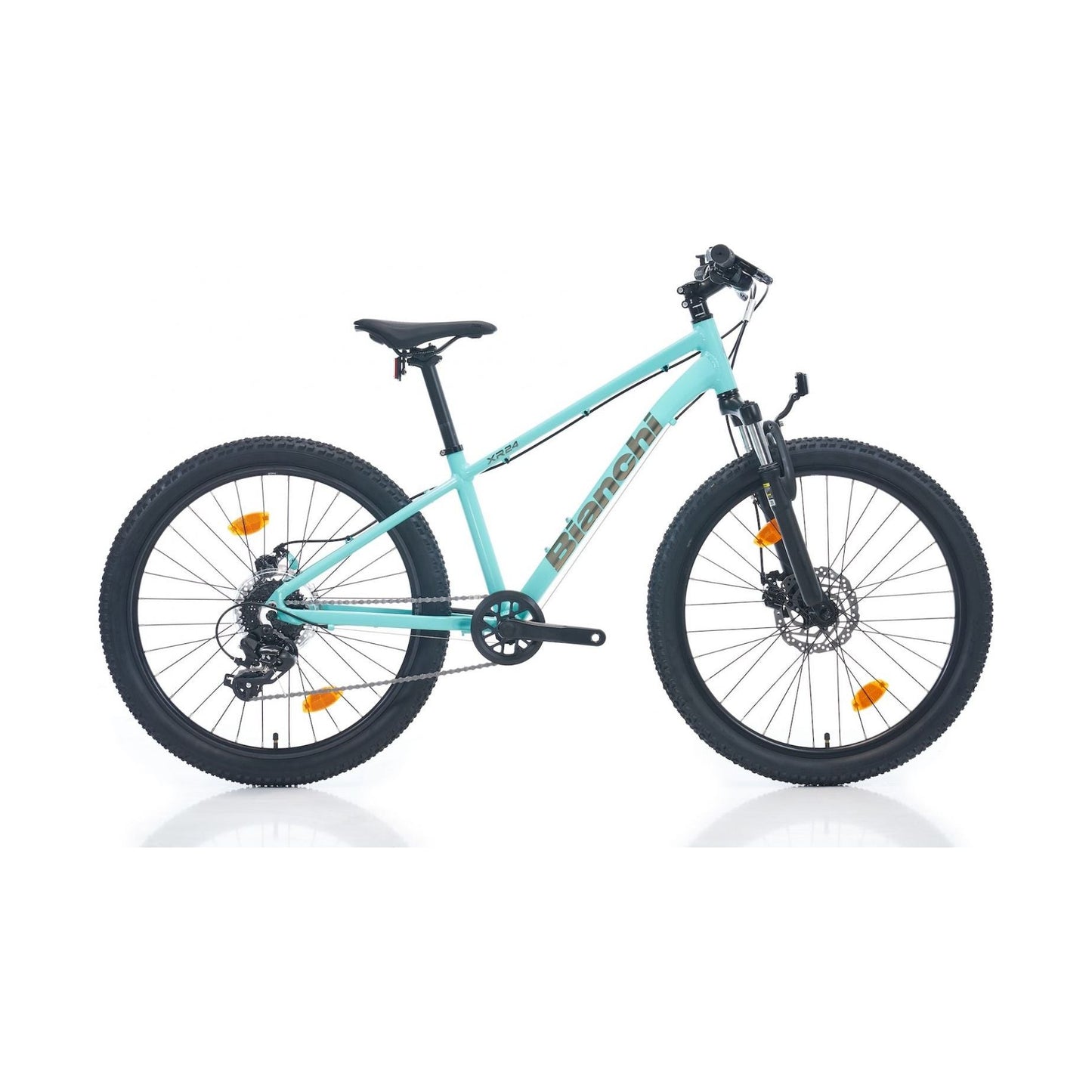 Bianchi Xr24 24 Jant Md Dağ Bisikleti (Celeste Gümüş)
