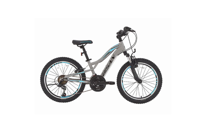 Bisan Buffalo 24 Jant V Fren Dağ Bisikleti (Gri-Siyah-Mavi)