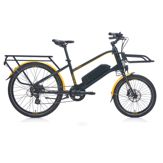 Carraro E-Line Elorry 2.1 Mini Velo Elektrikli Bisiklet