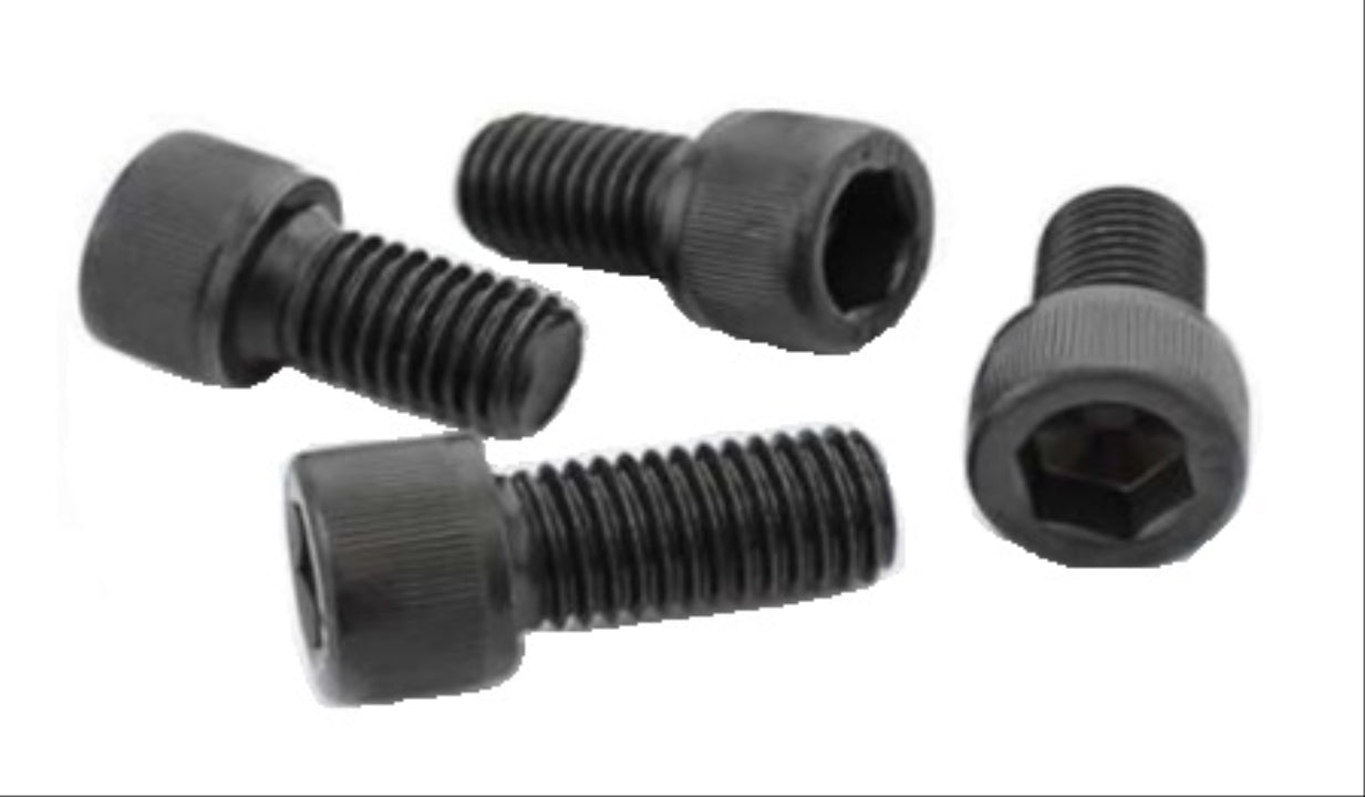 ROTOR VİDASI 125 CG SERİSİ (ADET) (M8x24)