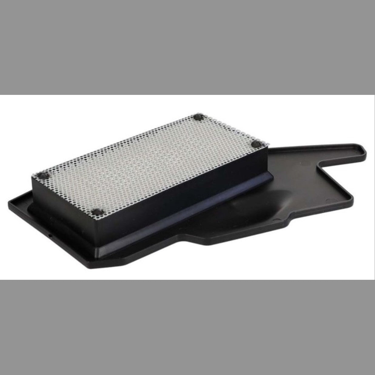 HAVA FİLTRE ELEMANI (N6040620) TVS RAİDER 125