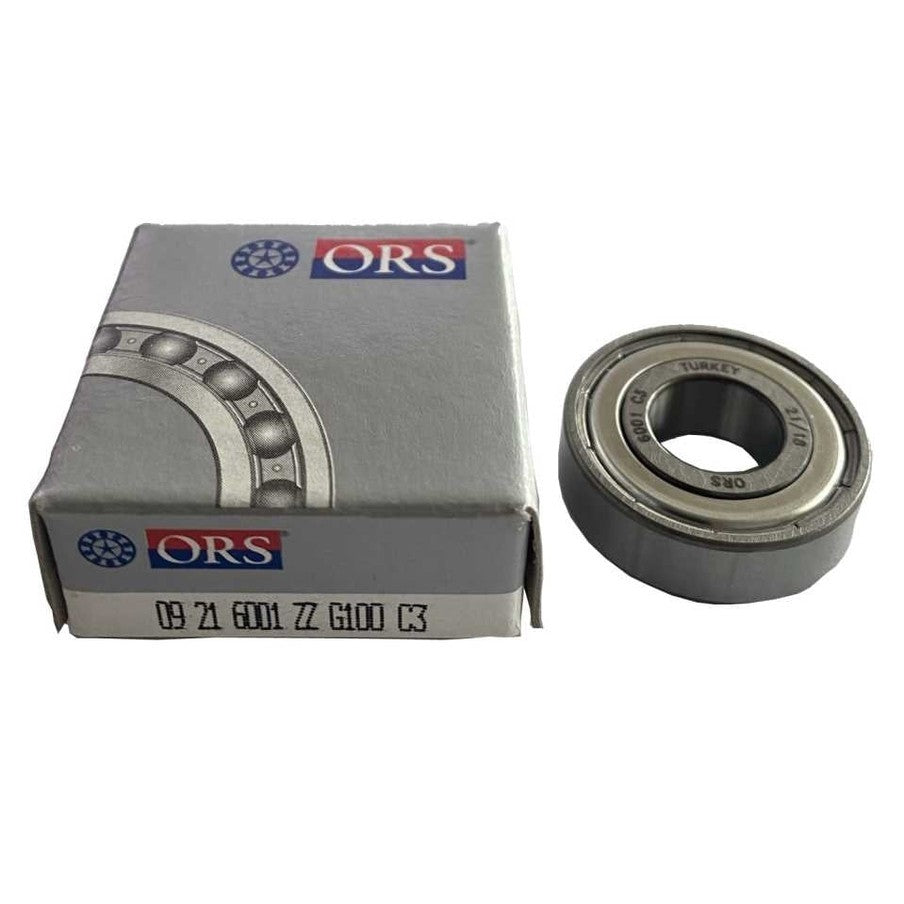 RULMAN ORS 6001 - ZZ