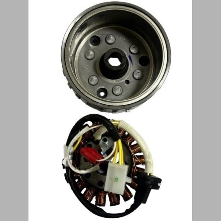 MANYETO KOMPLE TVS APACHE RTR 200 (NF060260)