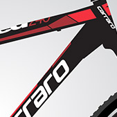 Carraro Speed 240 24-Jant V-Fren Dağ Bisikleti (Mat Siyah-Kırmızı)