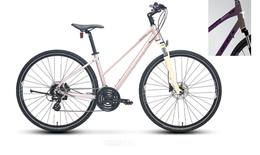 Carraro Sportive 226 28 Jant Hd Şehir Bisikleti (Mat Kırmızı-Mor-Altın)