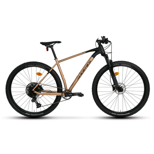 Carraro Big 912S 29 Jant Hd Dağ Bisikleti (Mat Açık Bronz Siyah)