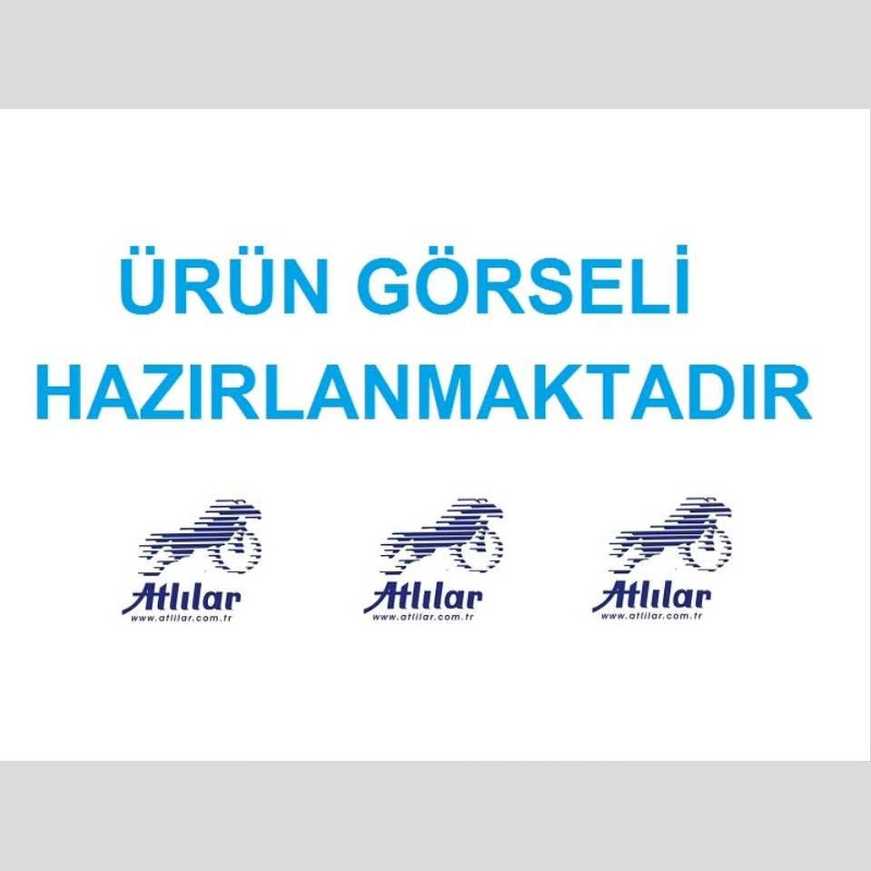 HAVA FİLTRESİ KOMPLE 100 HYENA