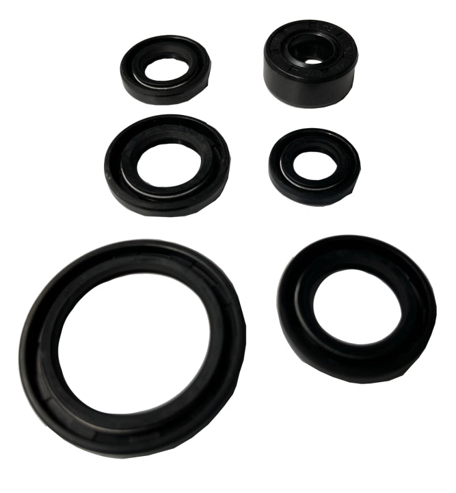KEÇE TAKIMI CUP MODELLERİ (6 LI SET)