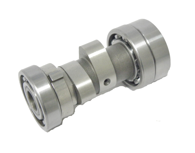 EKSANTRİK MİLİ  CUP 110 FT