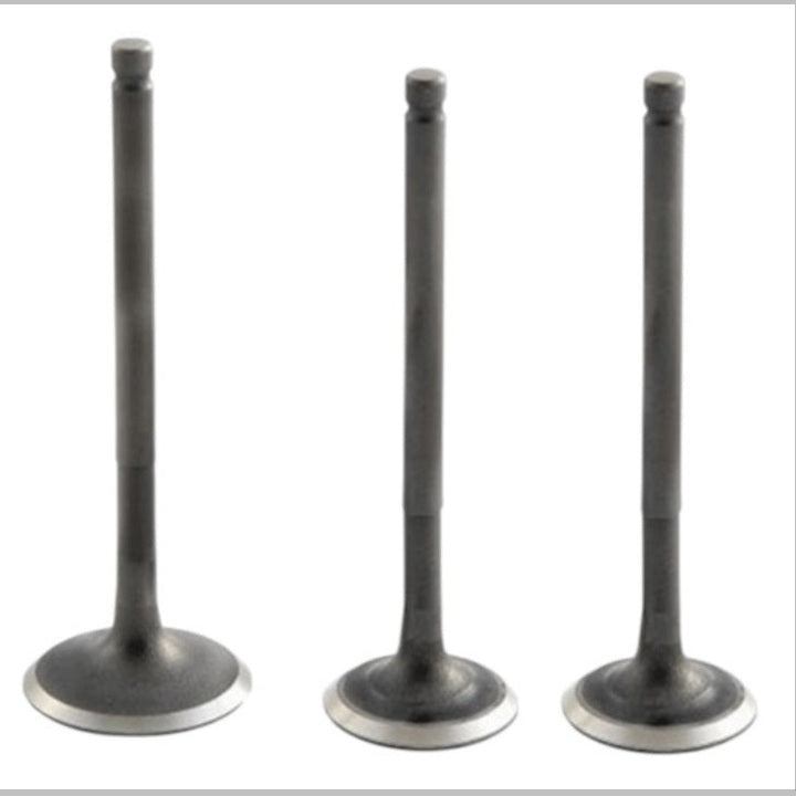 SUBAP TAKIMI TVS RAİDER (3LÜ SET) (2=IN + 1=EX)