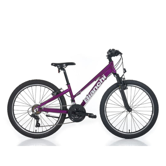 Bianchi Xr24.3 24 Jant Dağ Bisikleti (Mürdüm-Gri)